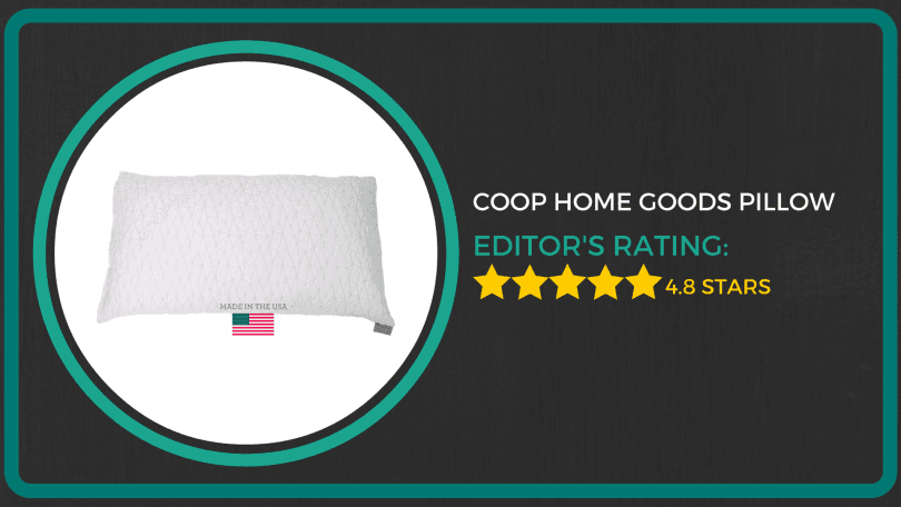 Coop Home Goods Shredded Memory Foam Pillow
