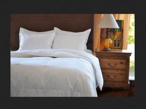 Natural Comfort Classic White Goose Down Comforter