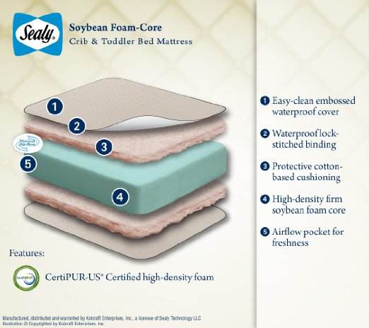 Sealy Soybean crib mattress review