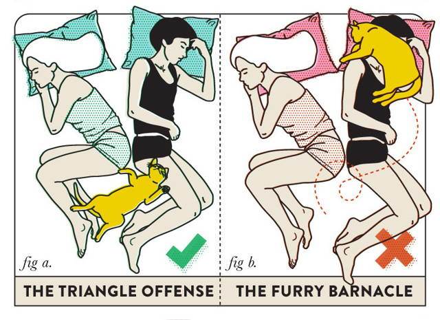best sleeping positions for couples