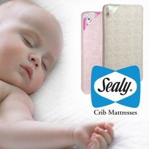 sealy crib mattresses